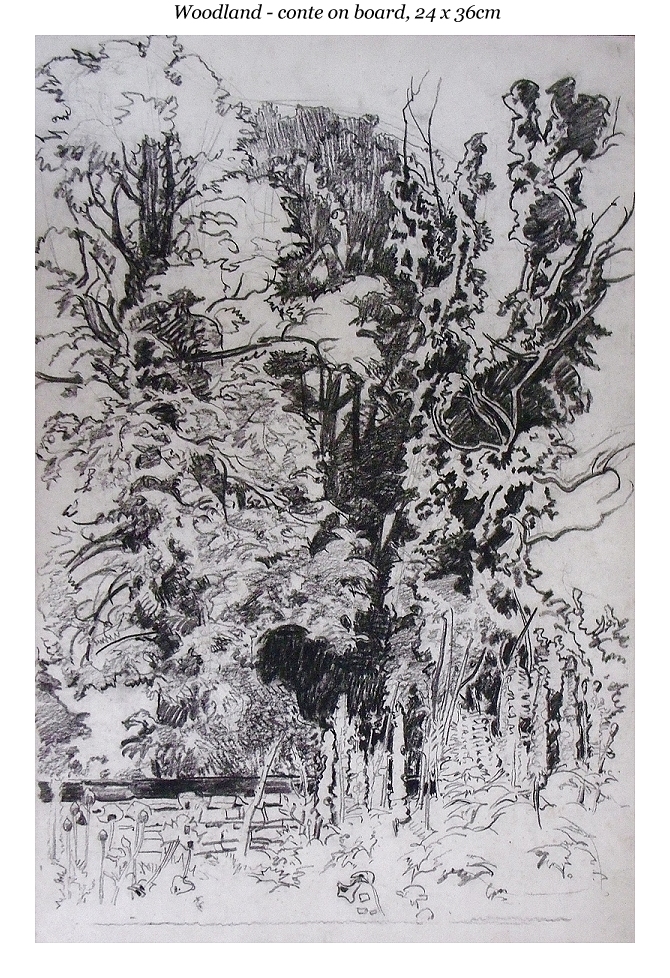 Robert Borlase Smart